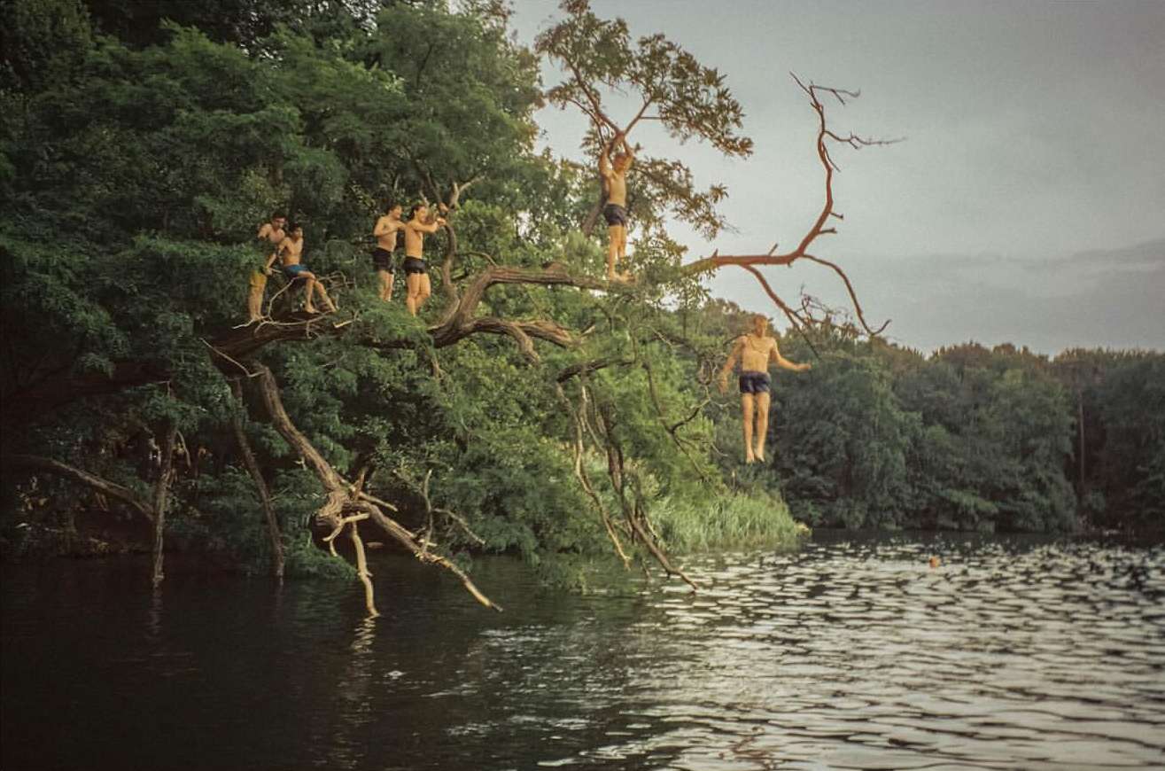 Group of young men climbing and jumping from a tree branch into a lake, surrounded by green trees on an overcast day.