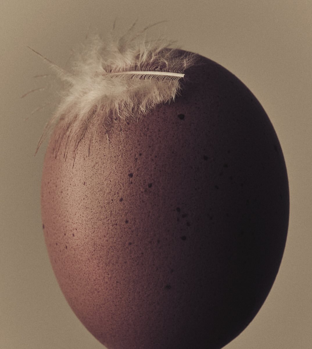 Still life of a brown egg with a white feather resting on top against a soft, neutral backdrop, minimalist composition.