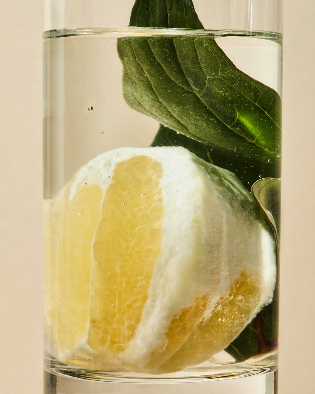 Close-up of a clear glass filled with water, a lemon wedge, and green leaves, set against a plain backdrop in a studio environment.