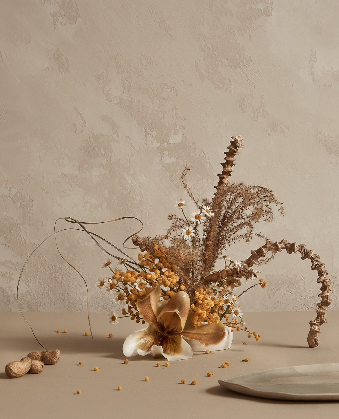 Still life featuring a lily, daisies, and dried grasses in a vase, complemented by scattered seeds and nuts against a neutral background.