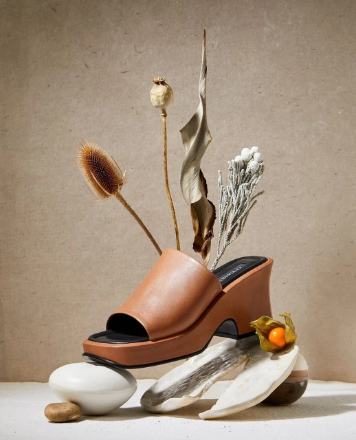 Elegant caramel-colored platform sandal with a black sole is artfully balanced atop smooth stones and surrounded by dried floral elements.