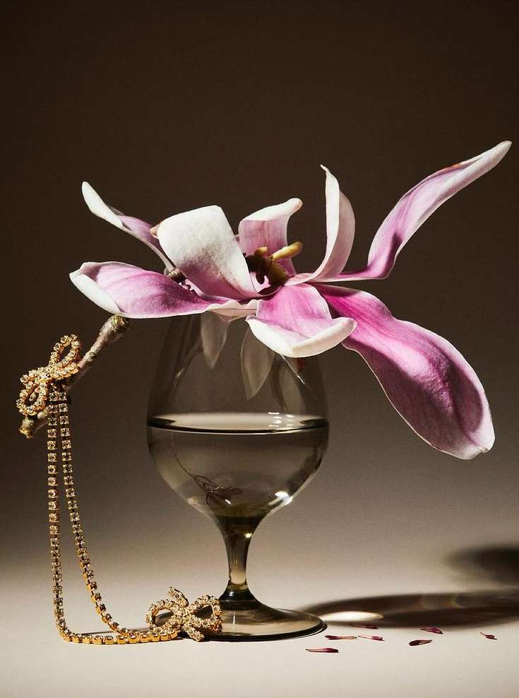 Floral still life with a pink and white magnolia blossom in a clear wine glass next to a rhinestone necklace on a light surface.