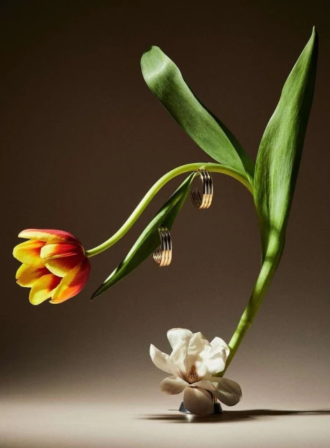 Still life shot of tulip and magnolia flowers with gold hoop earrings hanging from a green leaf against a brown background.