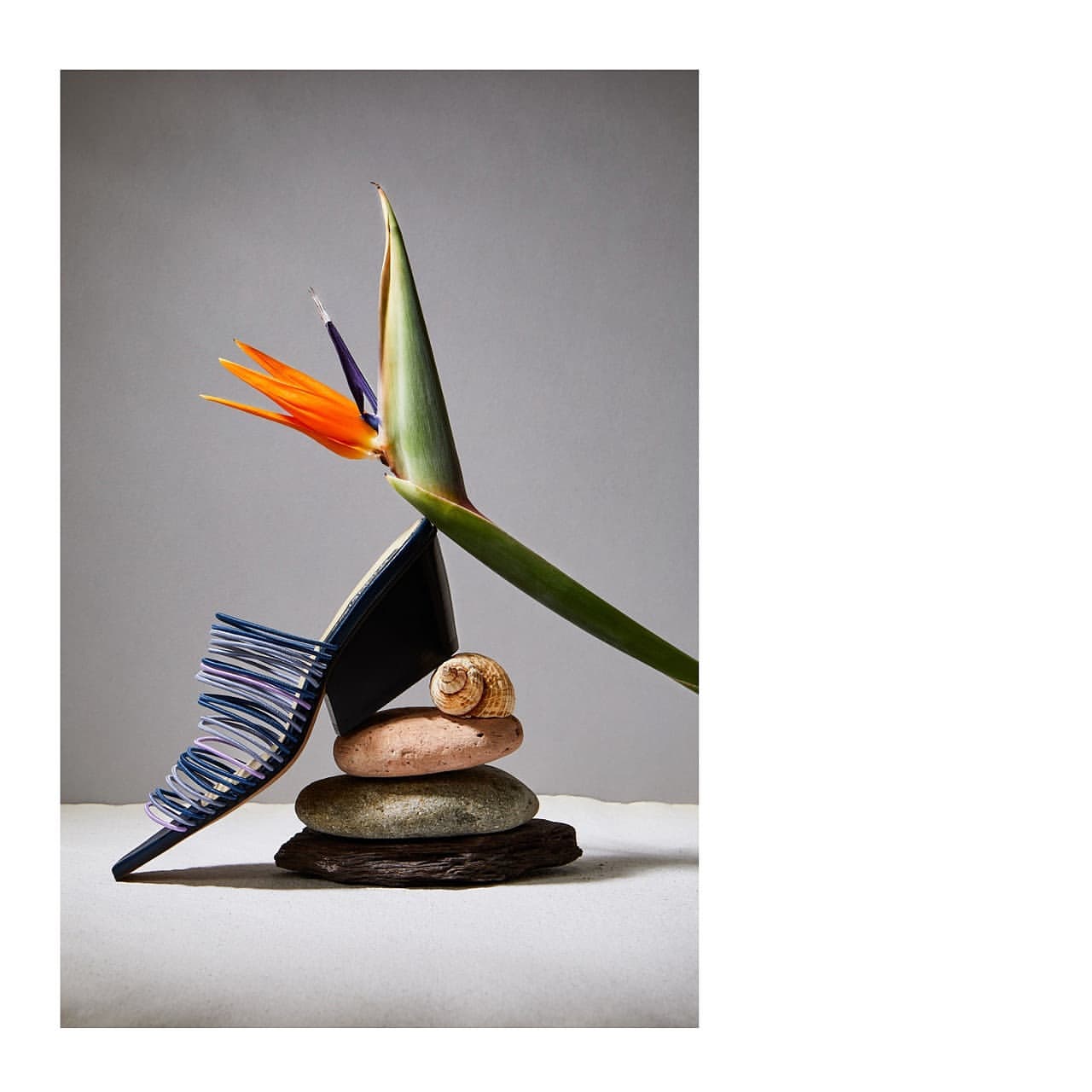 Stripped, high-heeled sandal rests on a stack of stones with a spiral shell and Bird of Paradise flower on a neutral background.