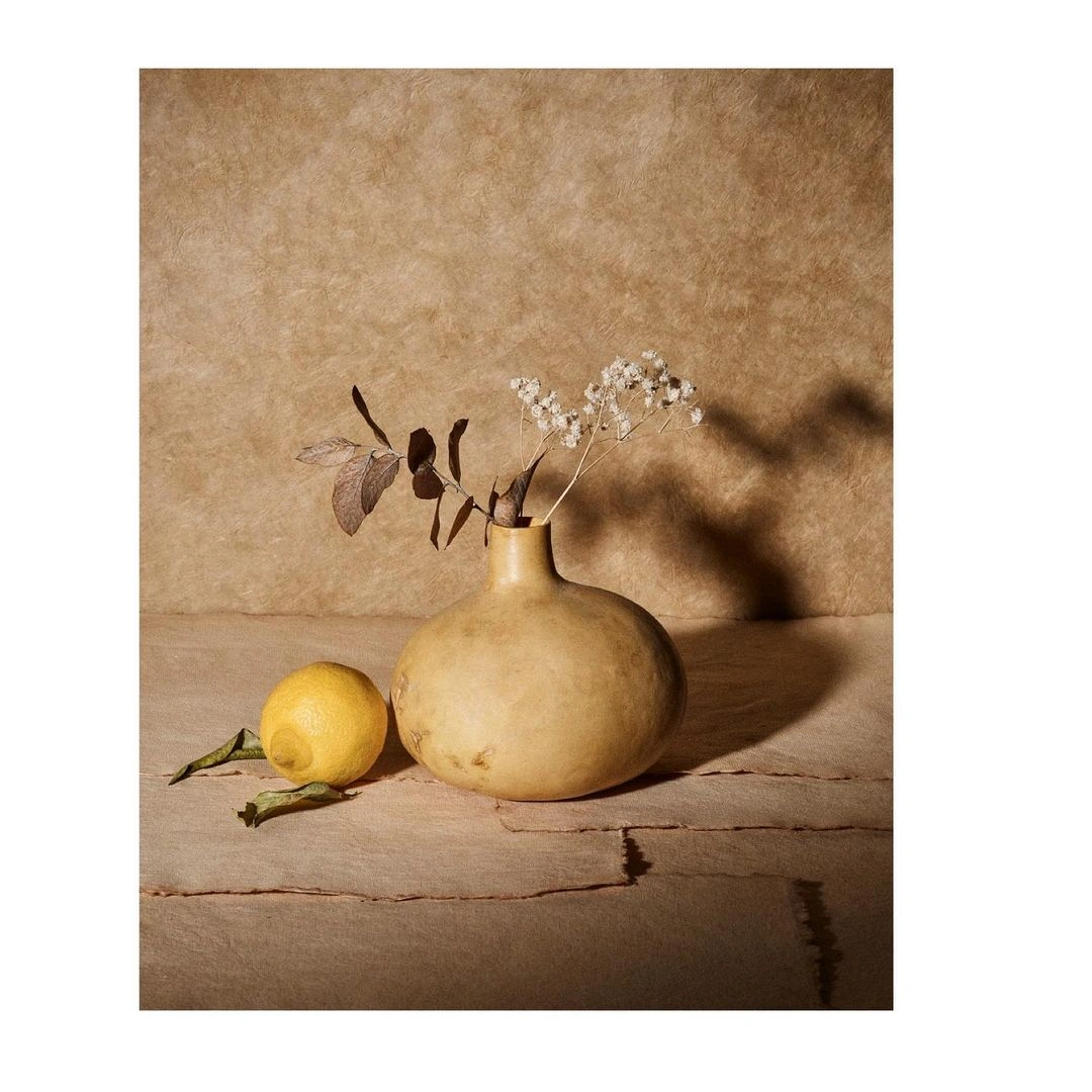 Still life photography of a ceramic vase with dried flowers and a fresh yellow lemon on a textured brown surface.