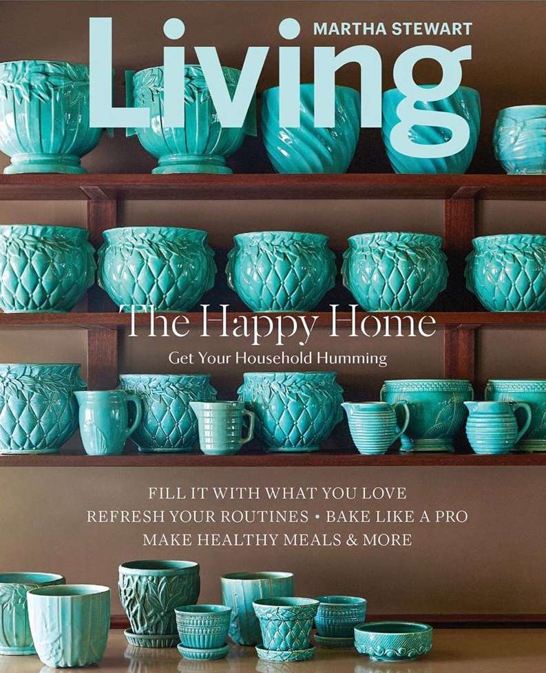 Magazine cover featuring an assortment of turquoise ceramic planters arranged on wooden shelves against a brown background, showcasing home decor.