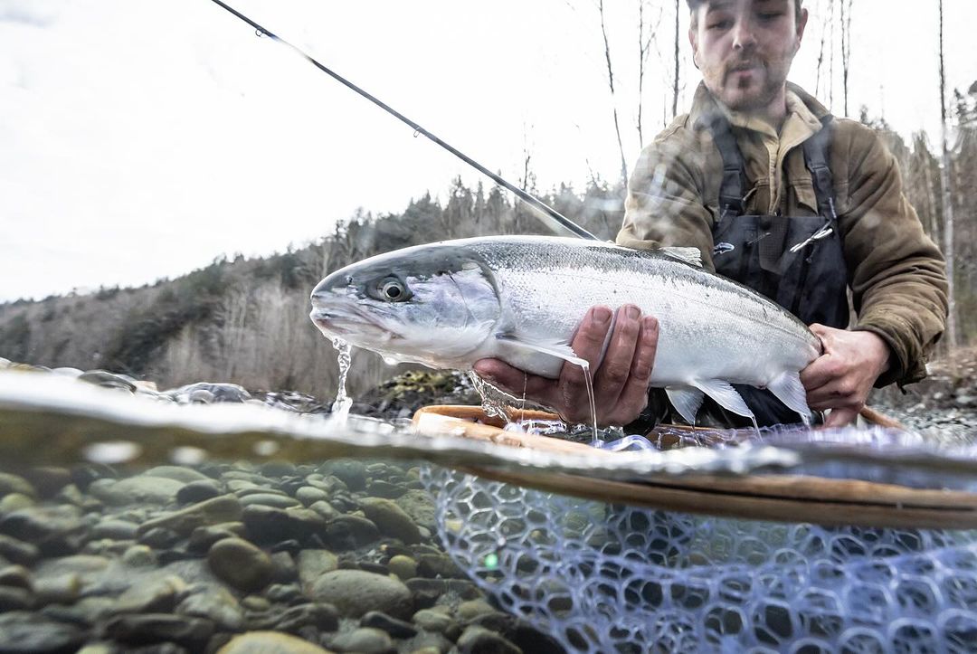 Fisherman holding a large salmon over a clear river, partially submerged, with a net visible and a background of trees and sky.