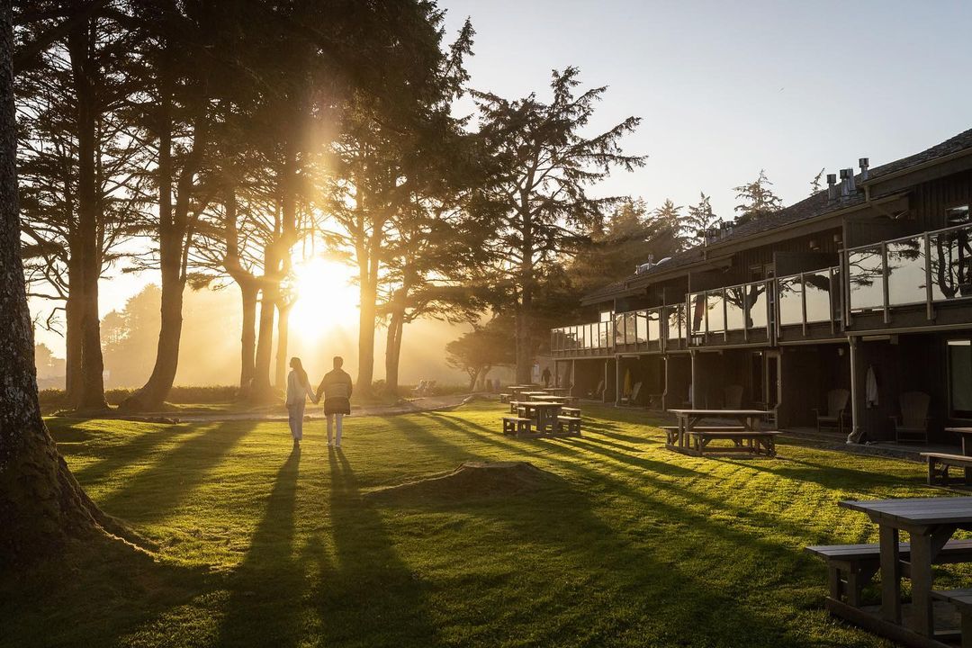 Couple walks hand-in-hand on green lawn toward sunlit trees and building. Picnic tables sit on the grass in the warm light.