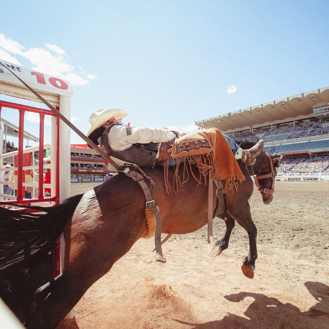 Cowboy rides a bucking bronco at a rodeo event in an outdoor arena with spectators. The horse leaps in the air during the competition.