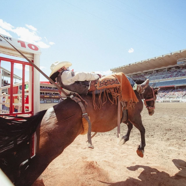 Cowboy rides a bucking bronco at a rodeo event in an outdoor arena with spectators. The horse leaps in the air during the competition.