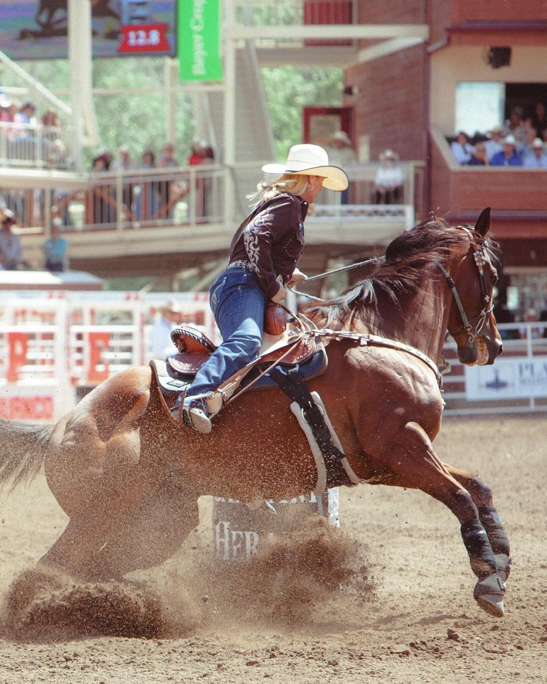 Barrel racer astride a brown horse, competing in an outdoor rodeo arena under bright sunlight, kicking up dirt in a dynamic action shot.