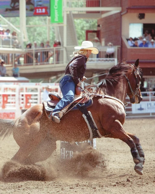 Barrel racer astride a brown horse, competing in an outdoor rodeo arena under bright sunlight, kicking up dirt in a dynamic action shot.