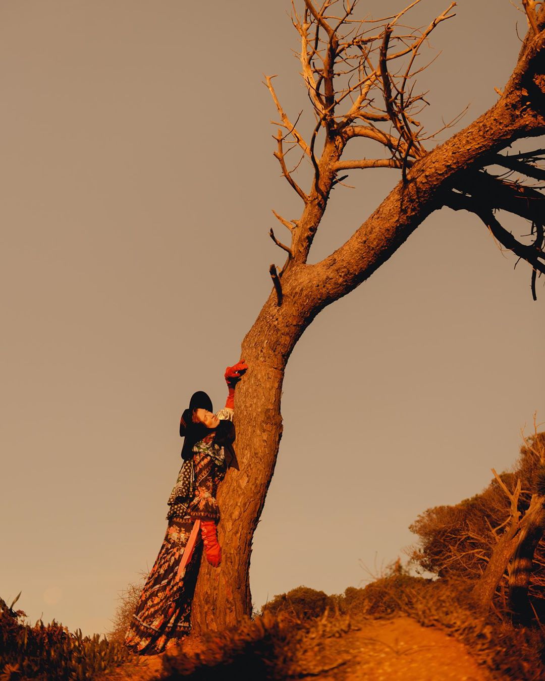 A woman in a colorful dress leans against a bare tree in a warm, outdoor setting with a clear sky and earthy tones.