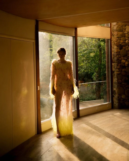 A model poses in a long sheer dress with feather details inside a modern architectural home with stone accents and a large window.