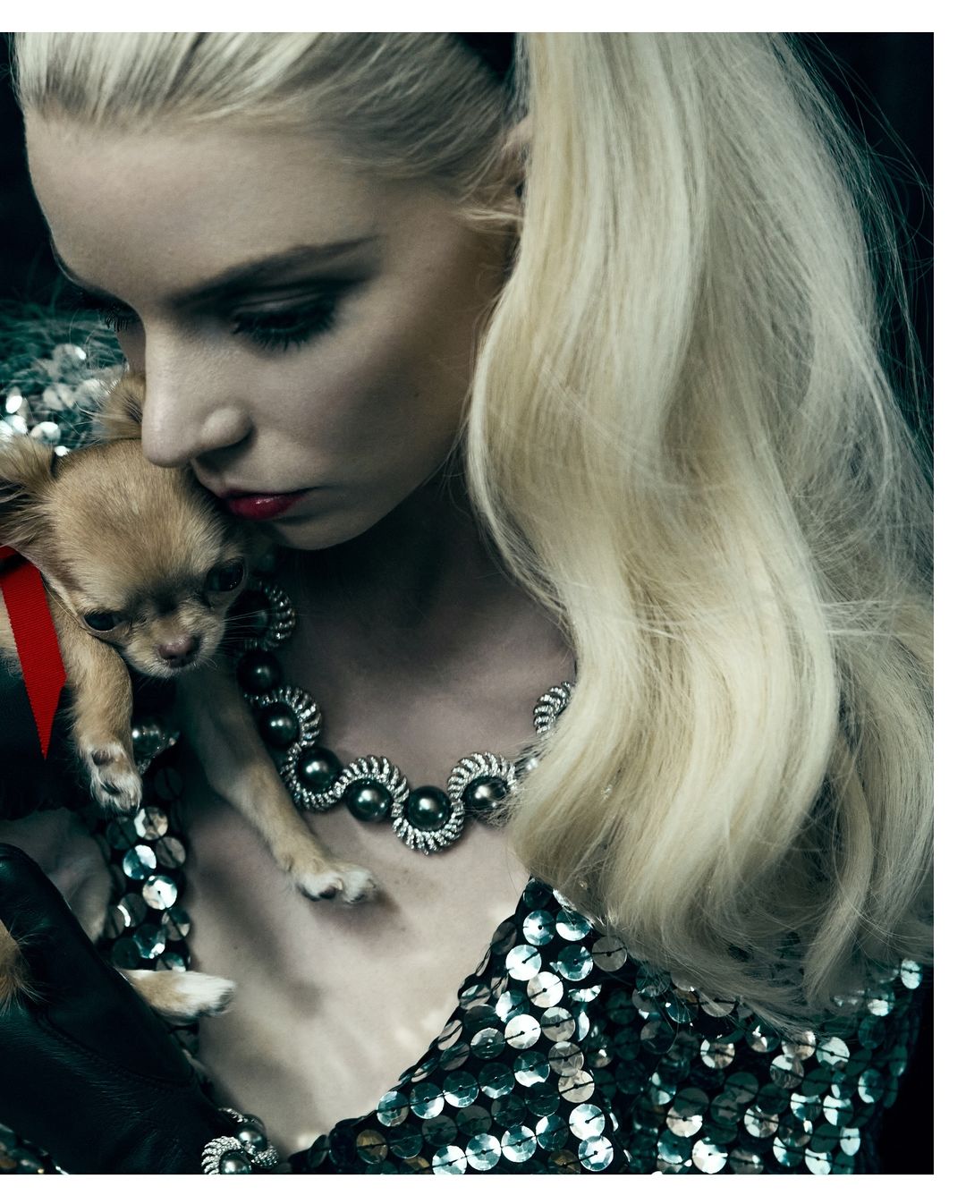 Adult female holding chihuahua, looking down with closed mouth, indoors. The woman wears a sequined top and necklace.