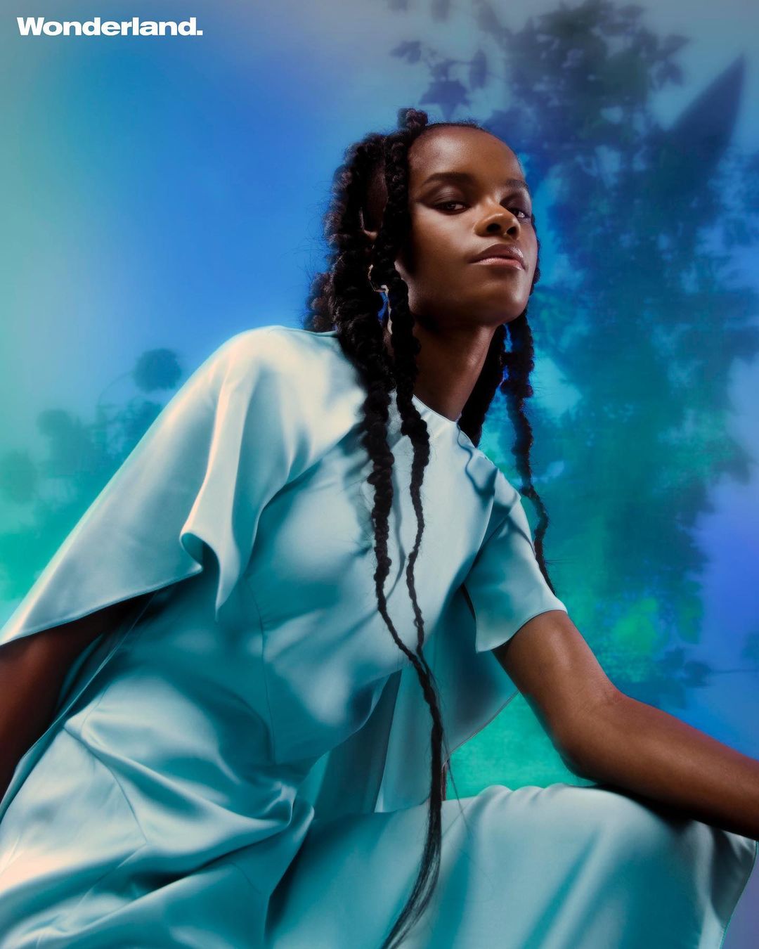 Portrait of an African-American woman with braided hair wearing a light blue silky dress against a green and blue leafy background.