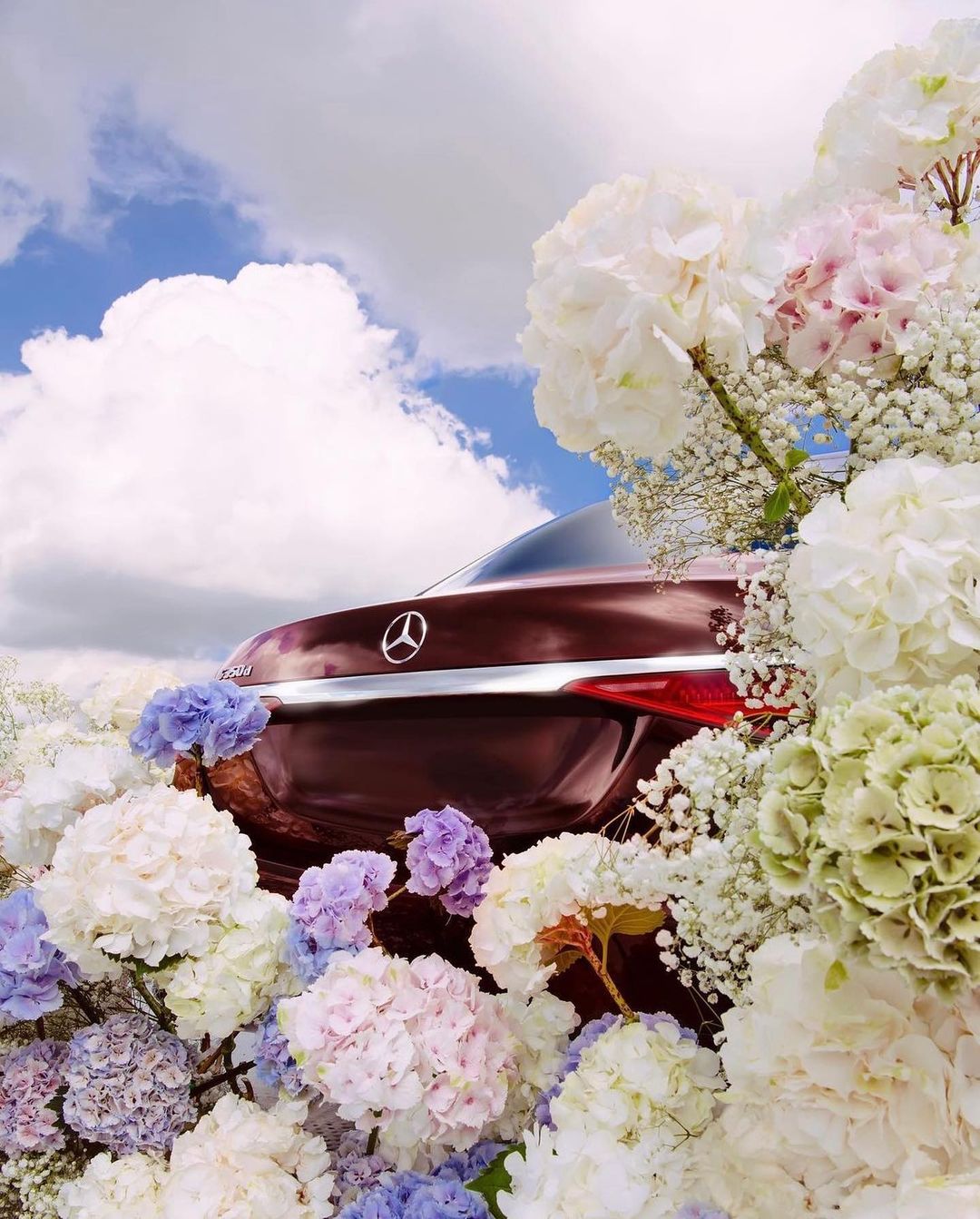 Rear view of a burgundy car surrounded by white, pink, and purple hydrangeas against a cloudy blue sky, creating a vibrant floral automotive scene.