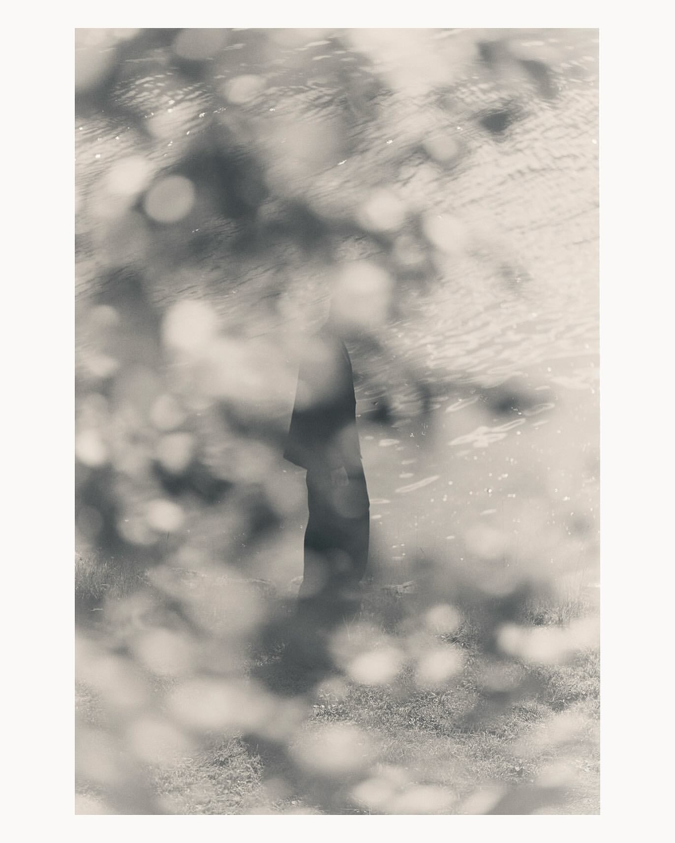 Abstract black and white image featuring a silhouetted tree trunk with blurred foliage and water, creating a dreamy, soft-focus scene.