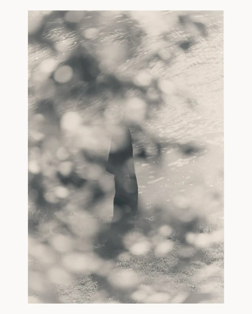 Abstract black and white image featuring a silhouetted tree trunk with blurred foliage and water, creating a dreamy, soft-focus scene.