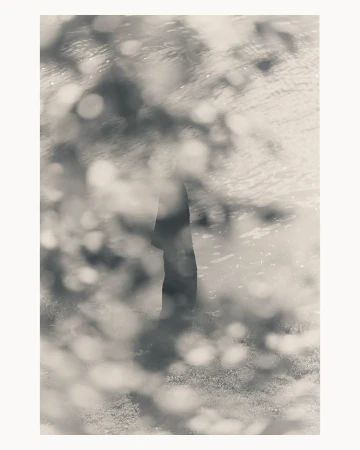 Abstract black and white image featuring a silhouetted tree trunk with blurred foliage and water, creating a dreamy, soft-focus scene.