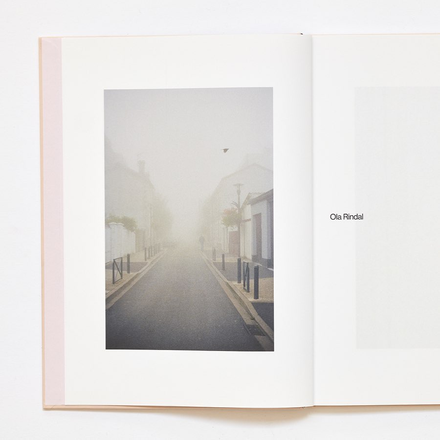 Foggy street scene with a bird flying overhead, as seen in a book, featuring buildings, road and minimalist color palette.
