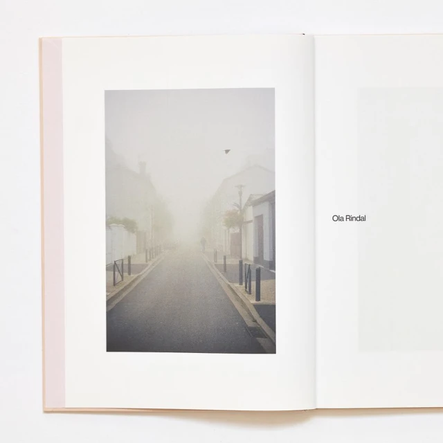 Foggy street scene with a bird flying overhead, as seen in a book, featuring buildings, road and minimalist color palette.