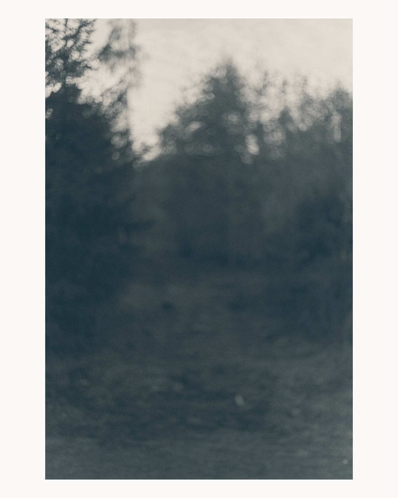 Softly blurred out of focus landscape photograph of trees and foliage under an overcast sky.