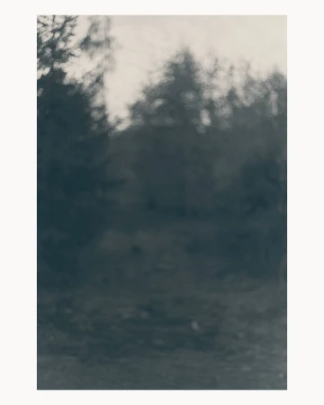 Softly blurred out of focus landscape photograph of trees and foliage under an overcast sky.