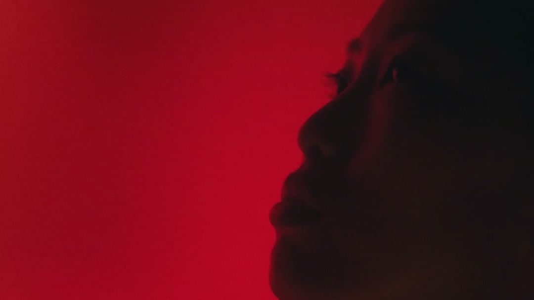 Profile view of an adult female's face silhouetted against a vibrant red background, emphasizing her dark features and the intense color contrast.