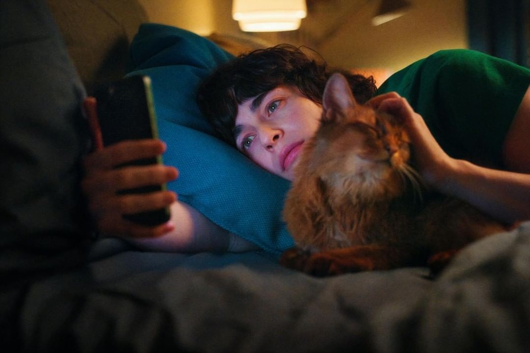 Woman lies in bed looking at smartphone while petting her ginger cat, illuminated by warm indoor lighting, creating a cozy scene.
