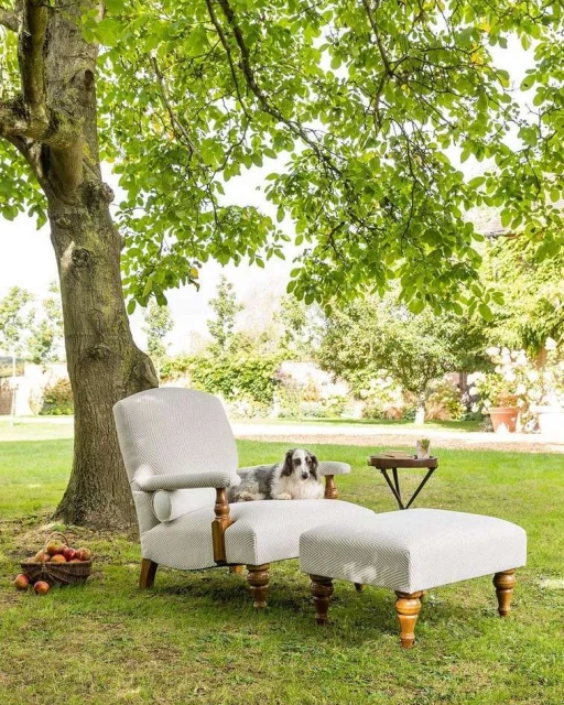 Dog rests on an armchair with an ottoman in a sunny garden setting beneath a leafy tree. A basket of apples is nearby.