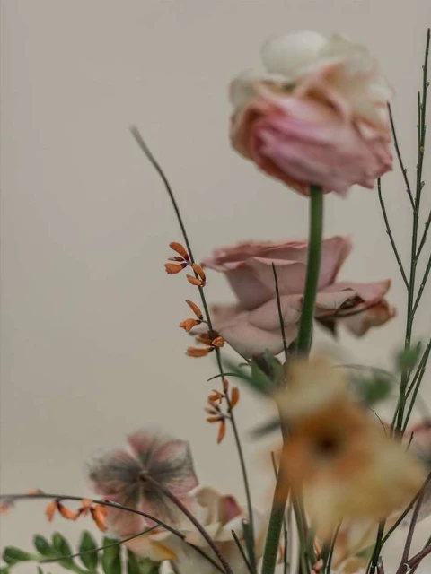 Oli Douglas