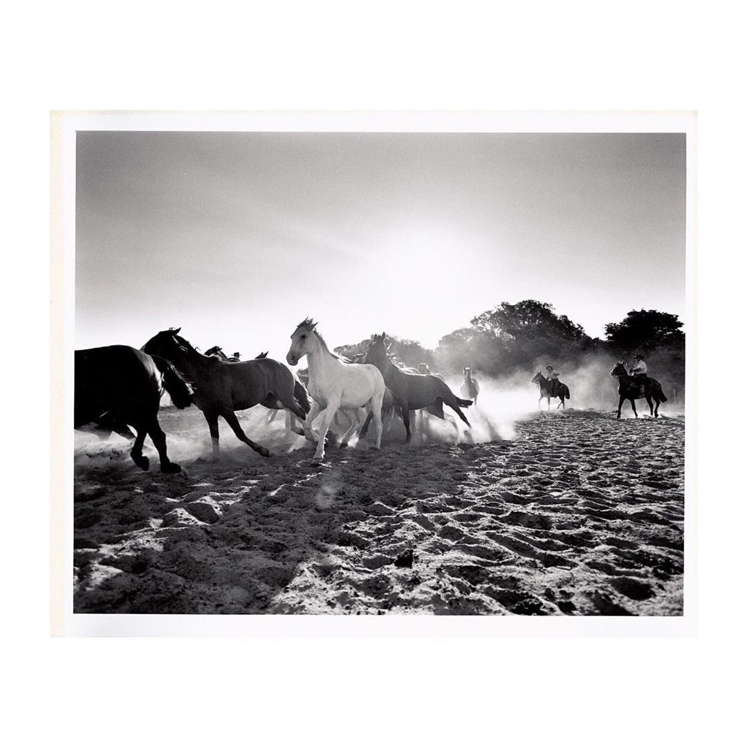 A herd of horses galloping across a sandy landscape in a vintage black-and-white photograph, with two riders visible in the distant background.