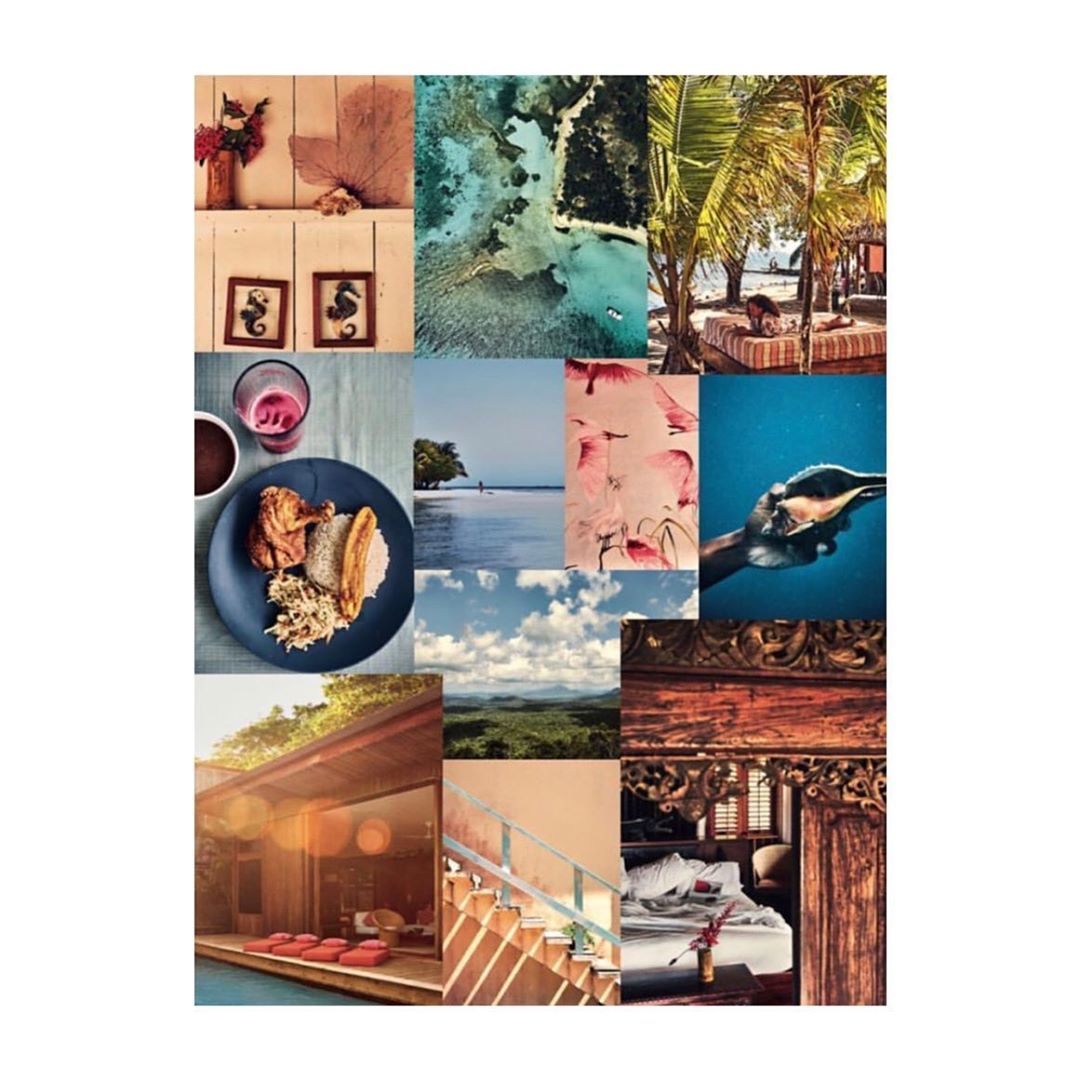 Collage of travel and lifestyle imagery featuring food, tropical landscapes, architecture, and interior design elements in a vibrant composition.