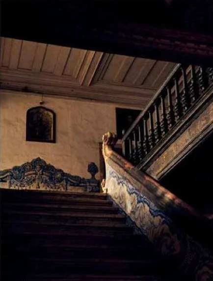 Dark staircase with wooden banister and patterned tiles inside a vintage-style house featuring a mirror on a textured wall.
