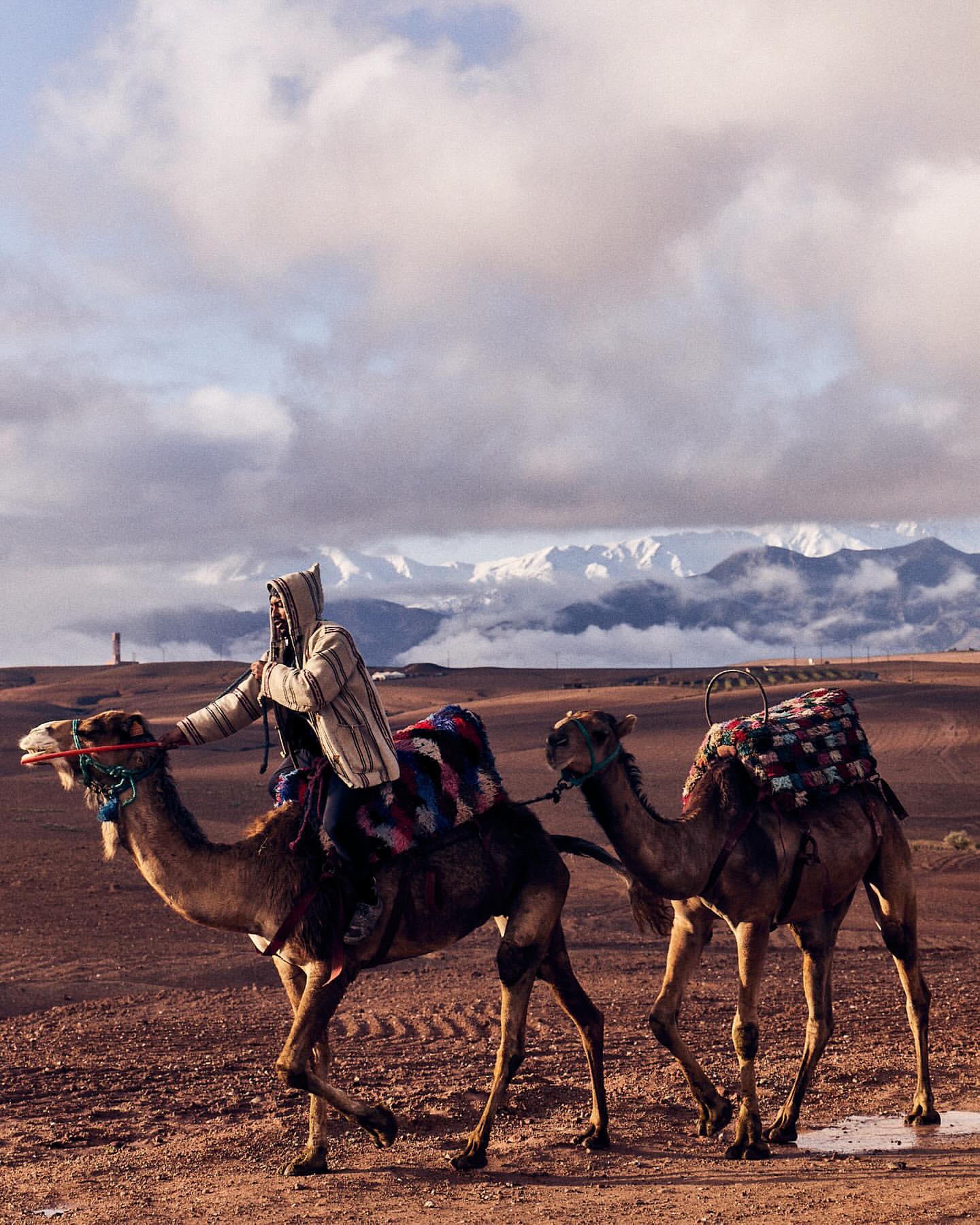 Person riding a camel followed by another camel in a desert landscape under a cloudy sky with distant mountains in the background.