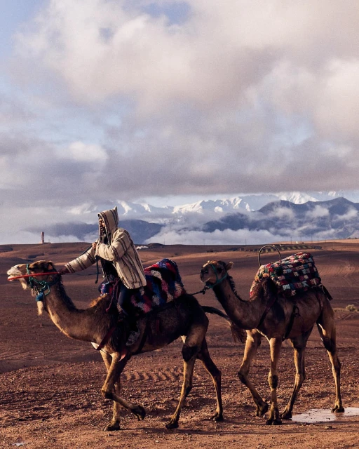 Person riding a camel followed by another camel in a desert landscape under a cloudy sky with distant mountains in the background.