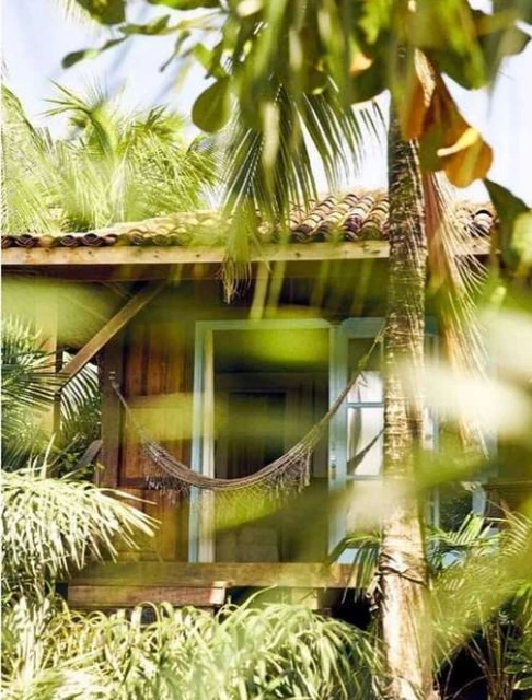 Exterior view of a wooden cabin with a hammock on a porch, surrounded by lush tropical vegetation and palm trees, creating a secluded retreat.