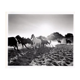Herd of horses galloping across a dusty terrain with riders in the background captured in monochrome.