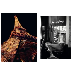 Diptych featuring a low-angle night view of the illuminated Eiffel Tower and a woman seated inside a café next to a window reading Rosebud