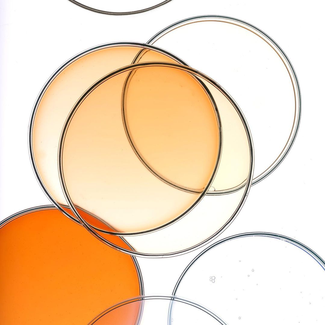 Overlapping circles of orange and white liquid create an abstract design against a white background, creating an eye-catching image.