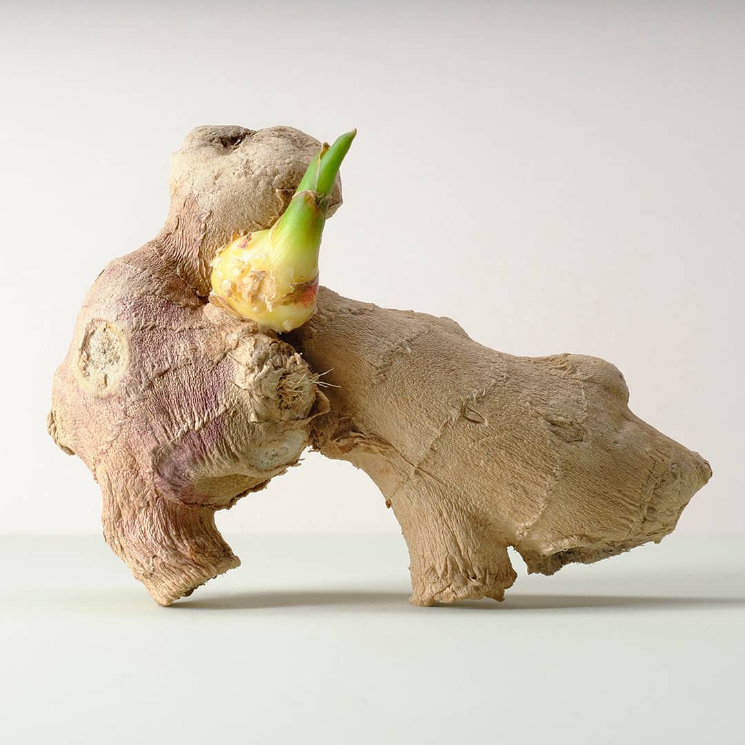Close-up shot of ginger root with a green sprout, showcasing its textured skin and natural growth against a neutral backdrop.