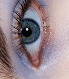 Macro photograph of a single human blue eye with detailed iris patterns, long eyelashes, and surrounding skin texture in Paris by Olivier Rose.