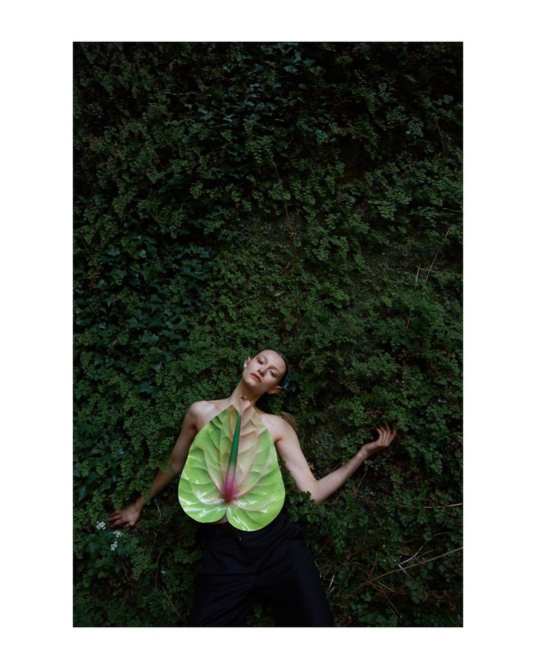 Woman laying in ferns wearing anthurium flower. Anthurium flower covers model's chest, ferns are in the background, dark and moody.