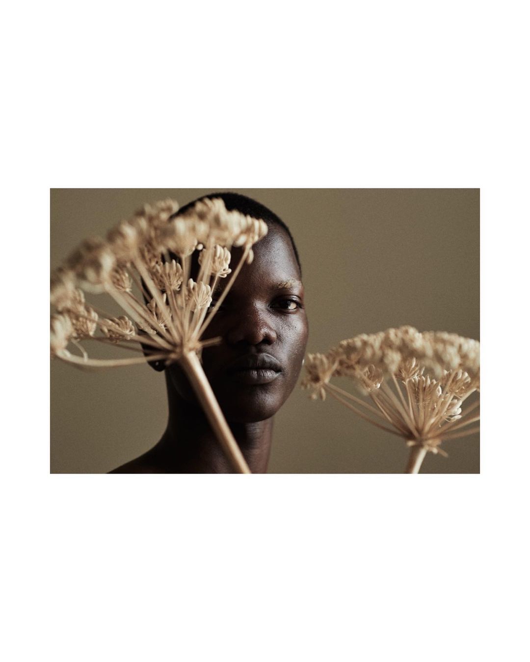 Close-up portrait of an adult woman with dark skin, posed against a neutral background with a dried flower in the foreground.