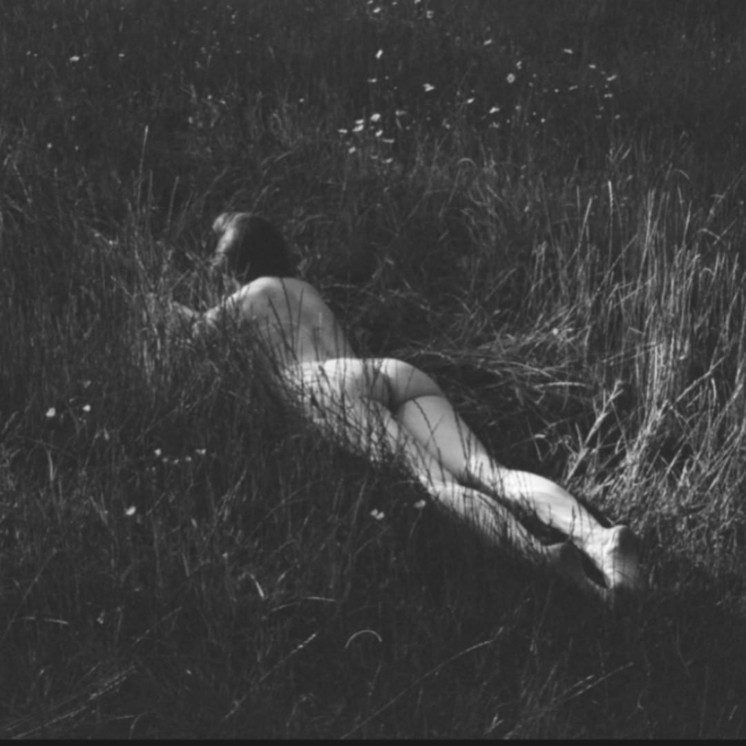 Nude adult female lying in tall grass in a monochrome outdoor setting, capturing a natural, intimate perspective.