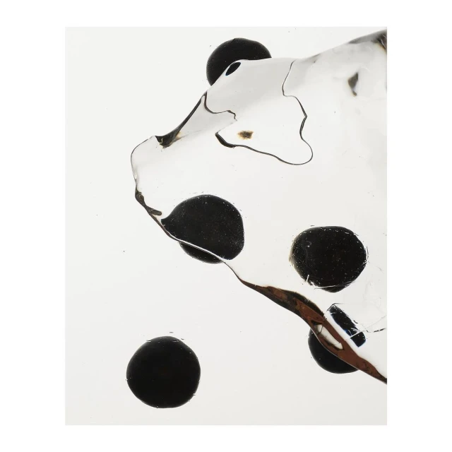 Close-up studio shot of a clear acrylic dice showing the pips through the transparent material, creating a minimalist geometric aesthetic.