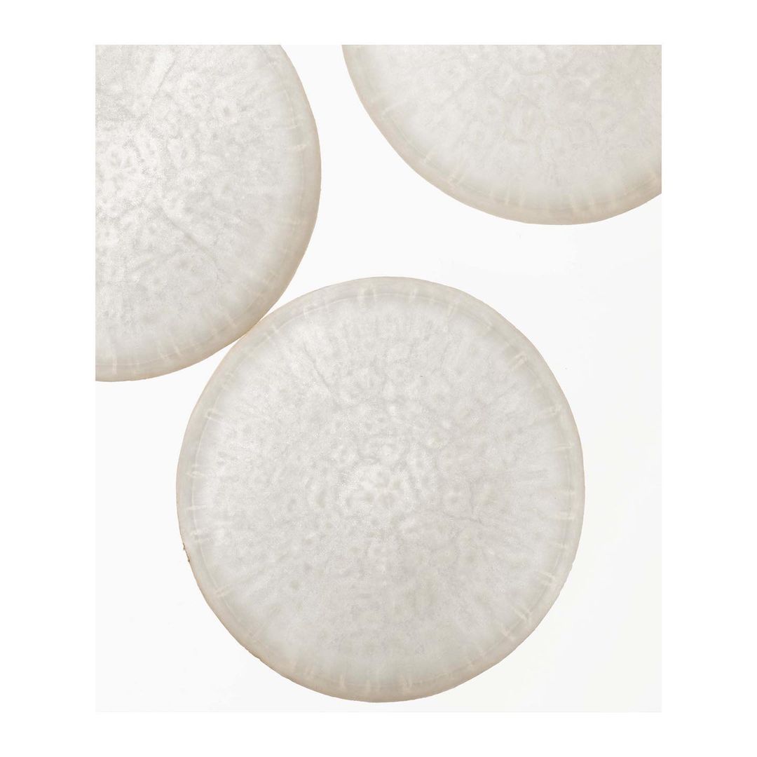 Close-up studio shot of three translucent, round slices. The slices feature a delicate internal pattern, evoking a sense of natural texture.