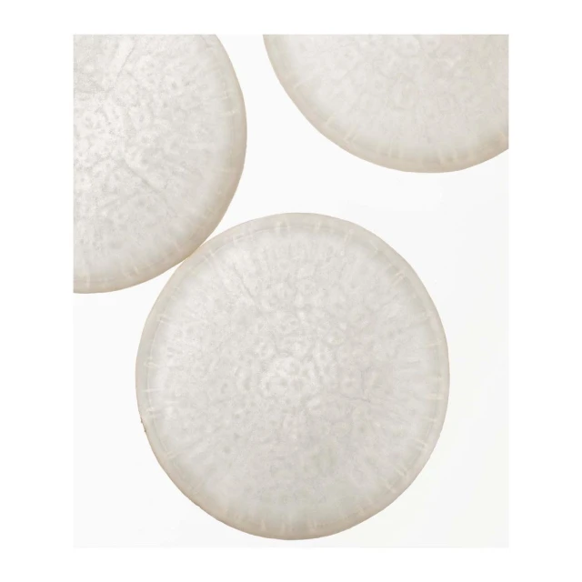 Close-up studio shot of three translucent, round slices. The slices feature a delicate internal pattern, evoking a sense of natural texture.
