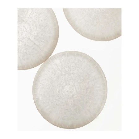 Close-up studio shot of three translucent, round slices. The slices feature a delicate internal pattern, evoking a sense of natural texture.
